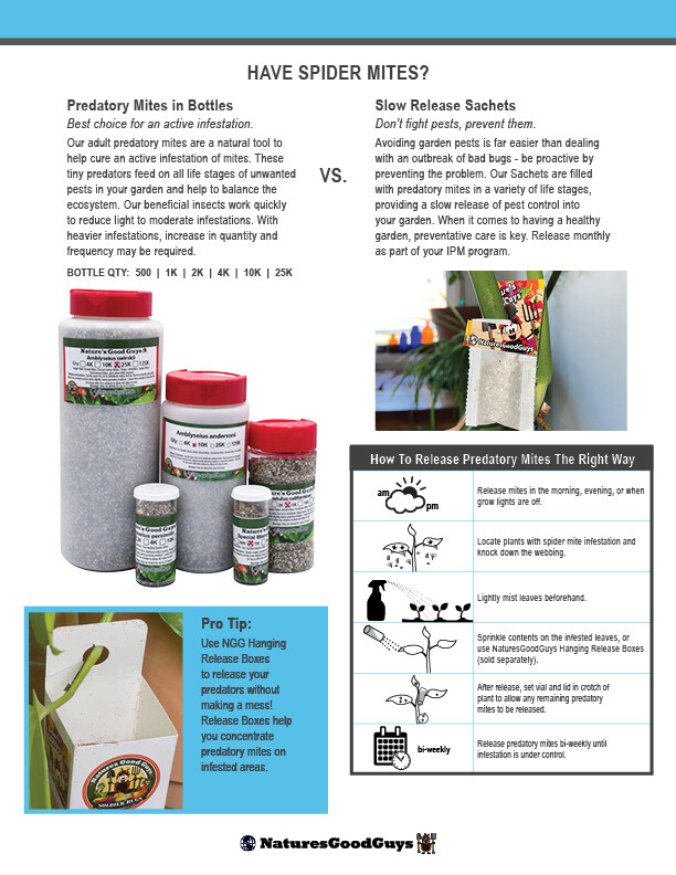 Slow Release Sachets - Amblyseius cucumeris - Predatory Spider Mite Control