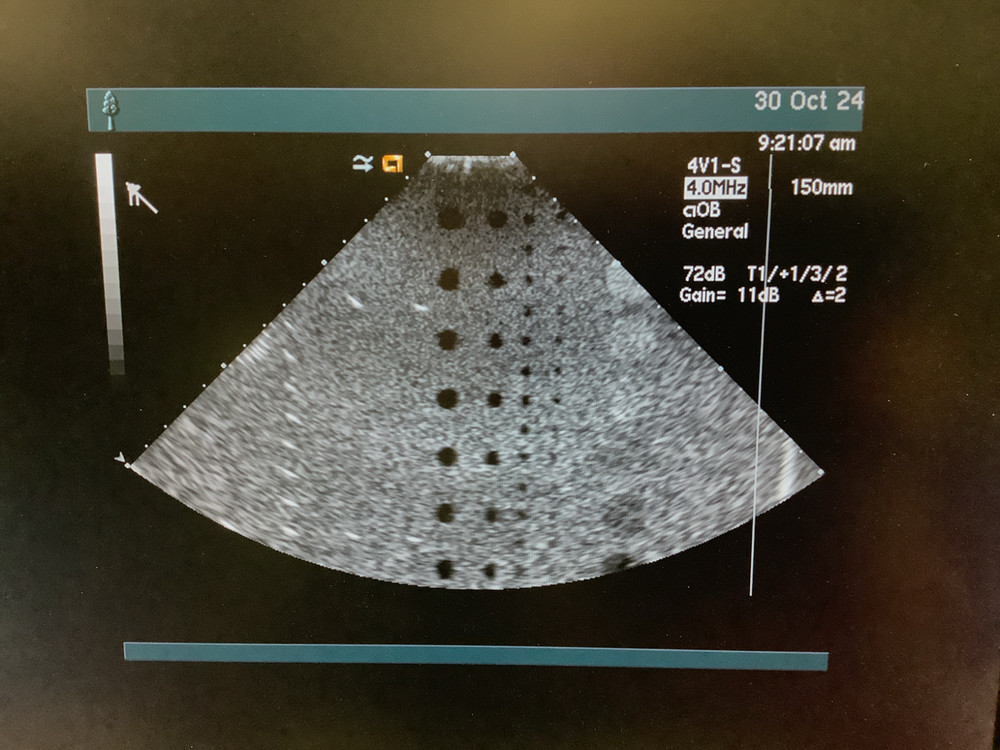 2017 Acuson 4V1 for Sequoia Linear Array Ultrasound Probe