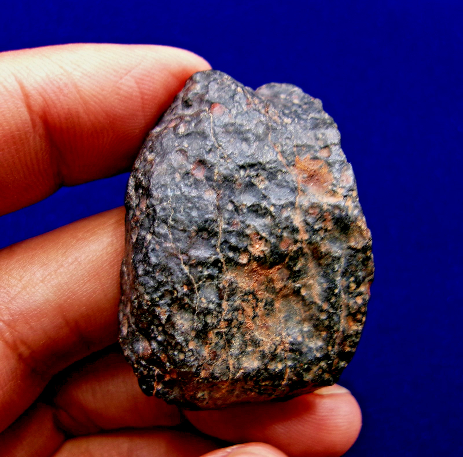 43.29 g - NWA 4502 - CVox3 Carbonaceous Meteorite - Tons of Chondrules & CAI's