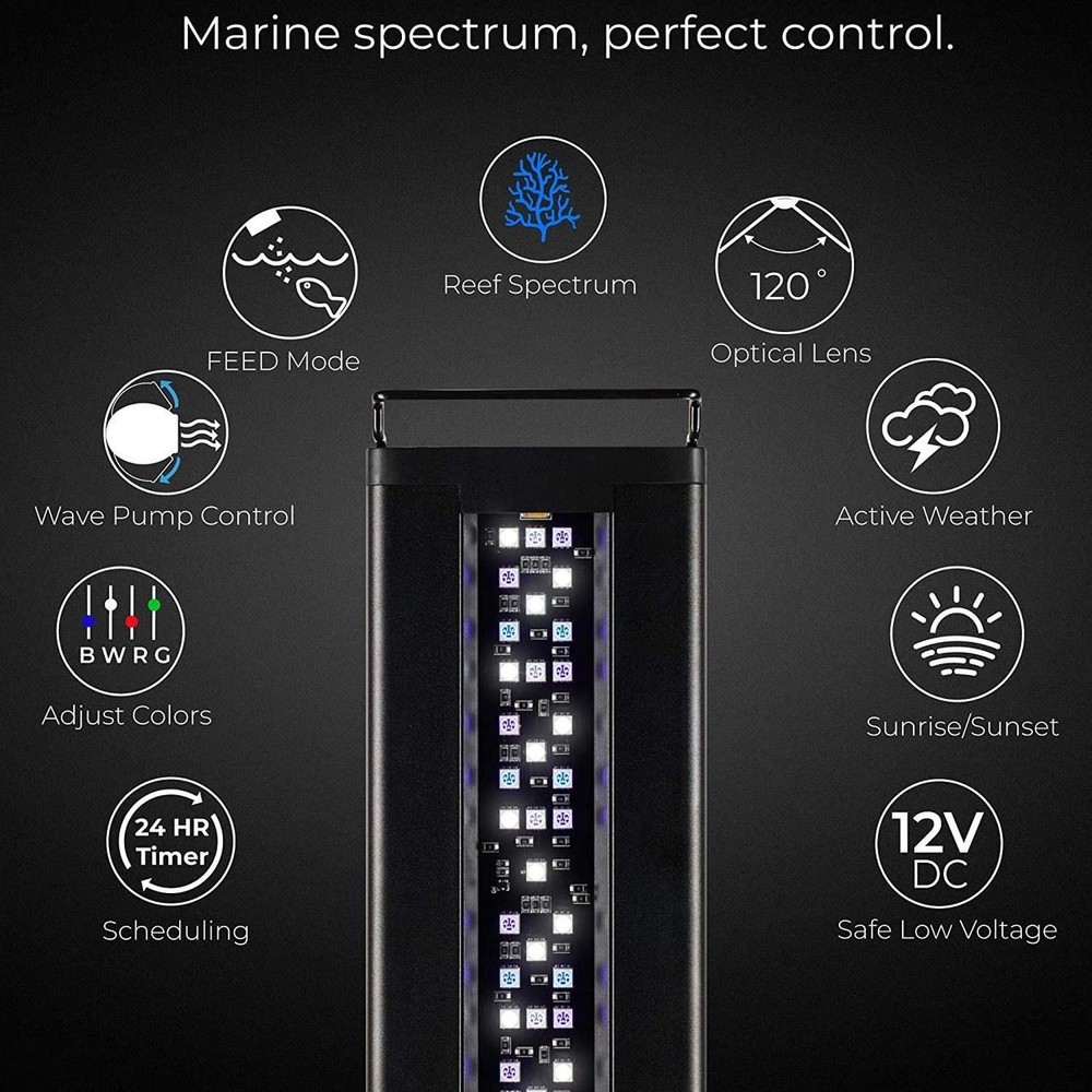(24"-36") Orbit Marine LED Light w/Mini Bluetooth LOOP App Control (4201) - Curr