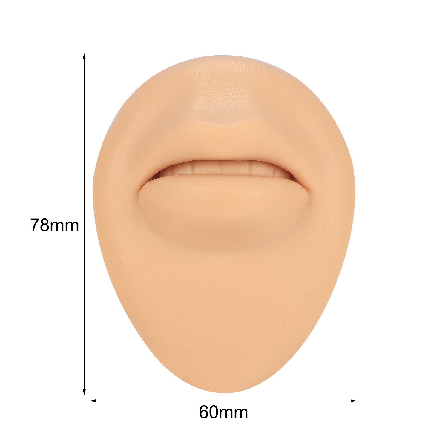 Silicone Ear Model with Acrylic Display Stand Body Parts Practice Piercing Tools