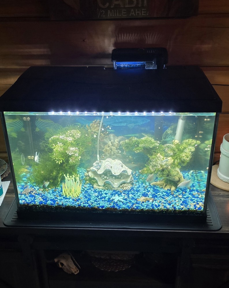 Aquarium 20 gallon
