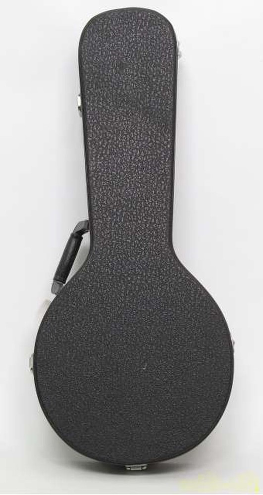 ARIA AM200E/BS Mandolin-01