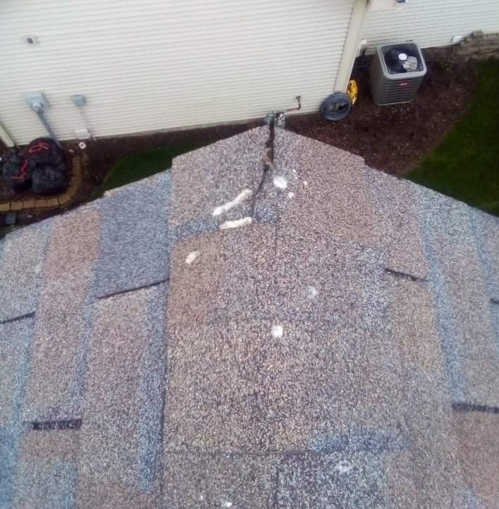 Bird deterrent