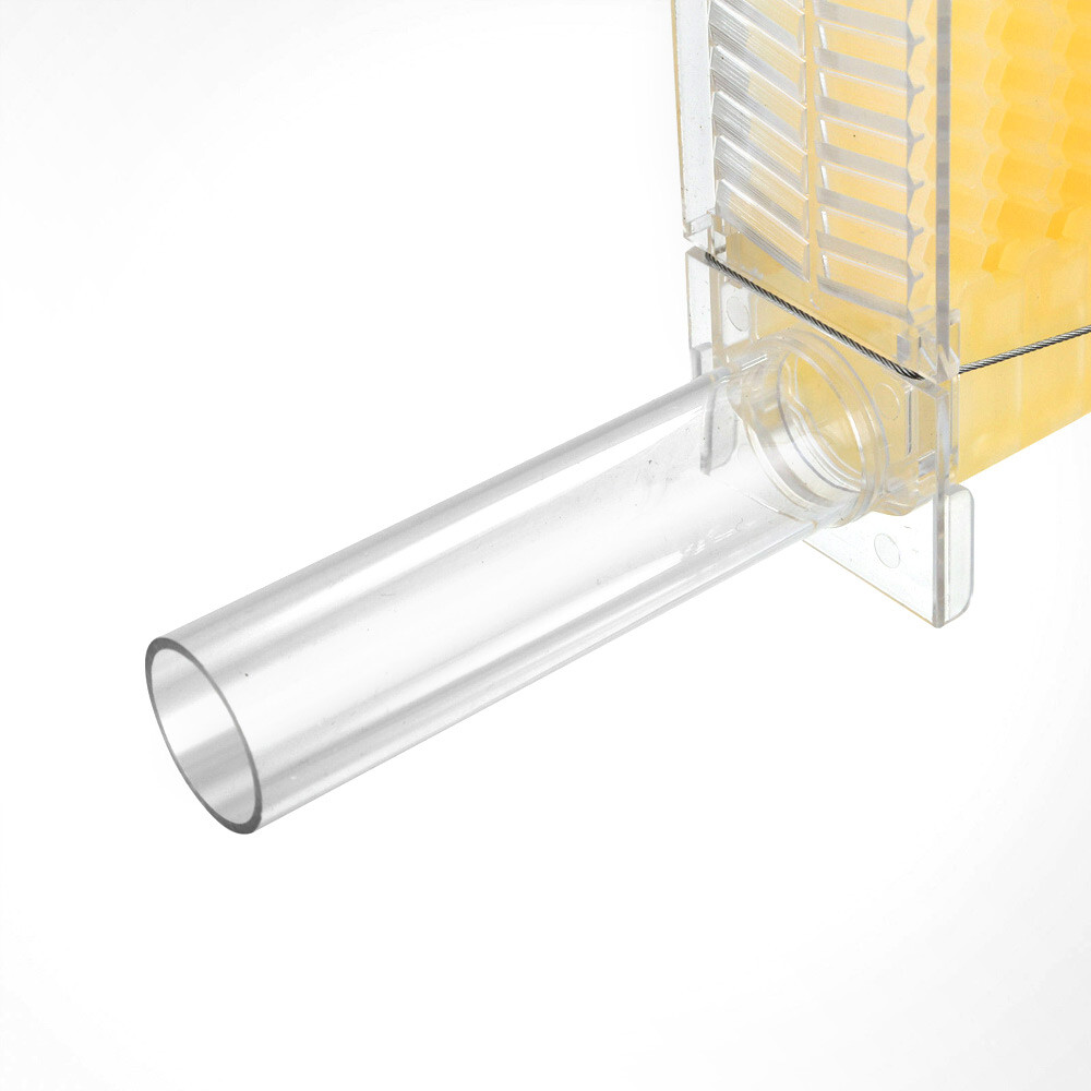 7 PCS Auto Shedding Beehives Frames Bee Frames for Brood Beekeeping Boxes House