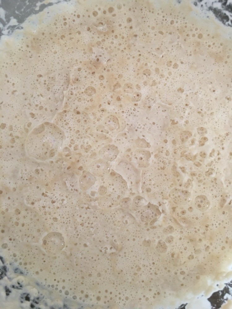 Sourdough Starter