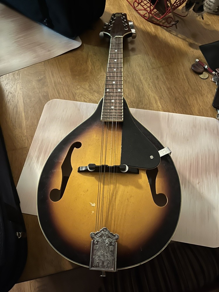 Rogue RM-100A  Mandolin