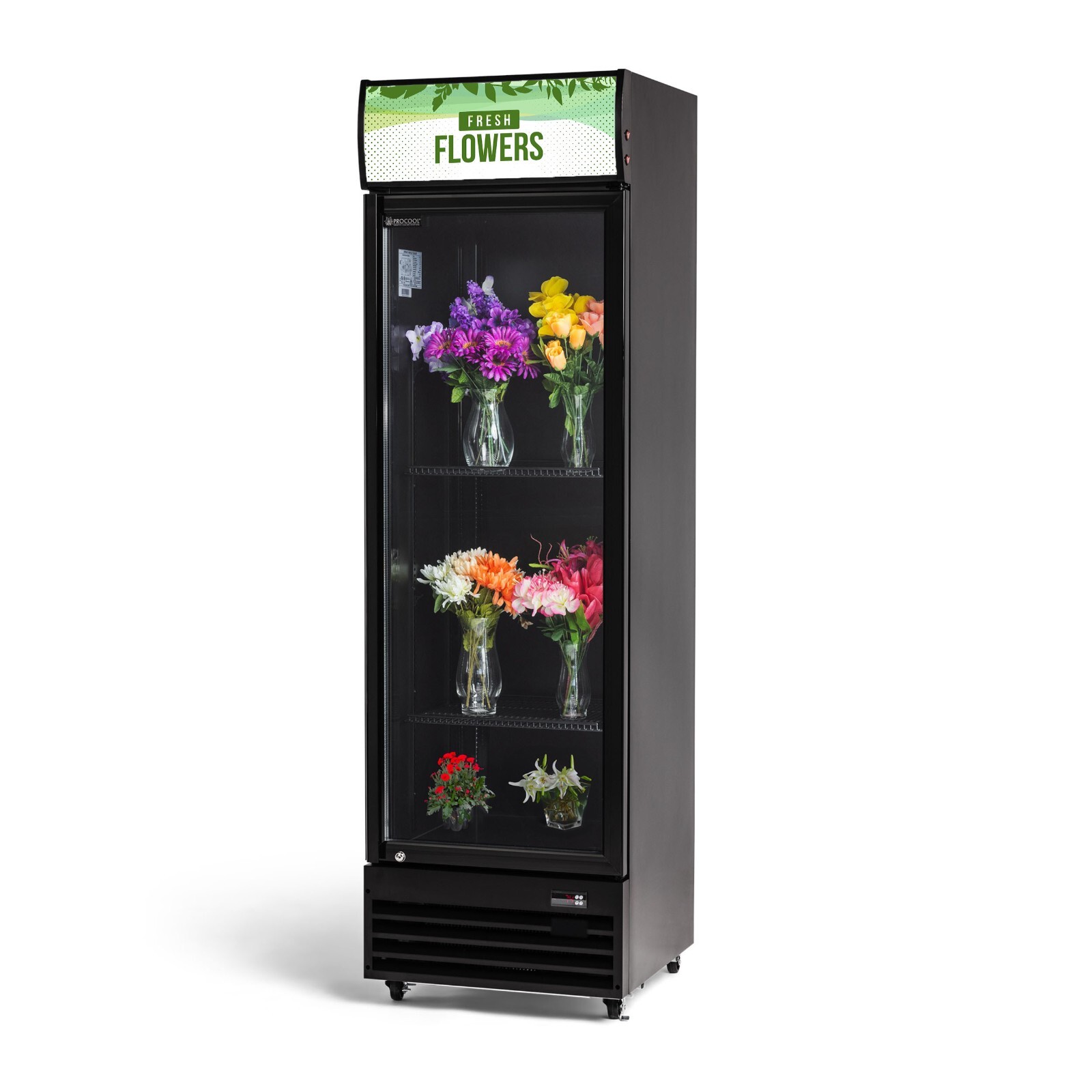 Procool Glass Door Black FLOWER COOLER Display  Merchandiser Refrigerator