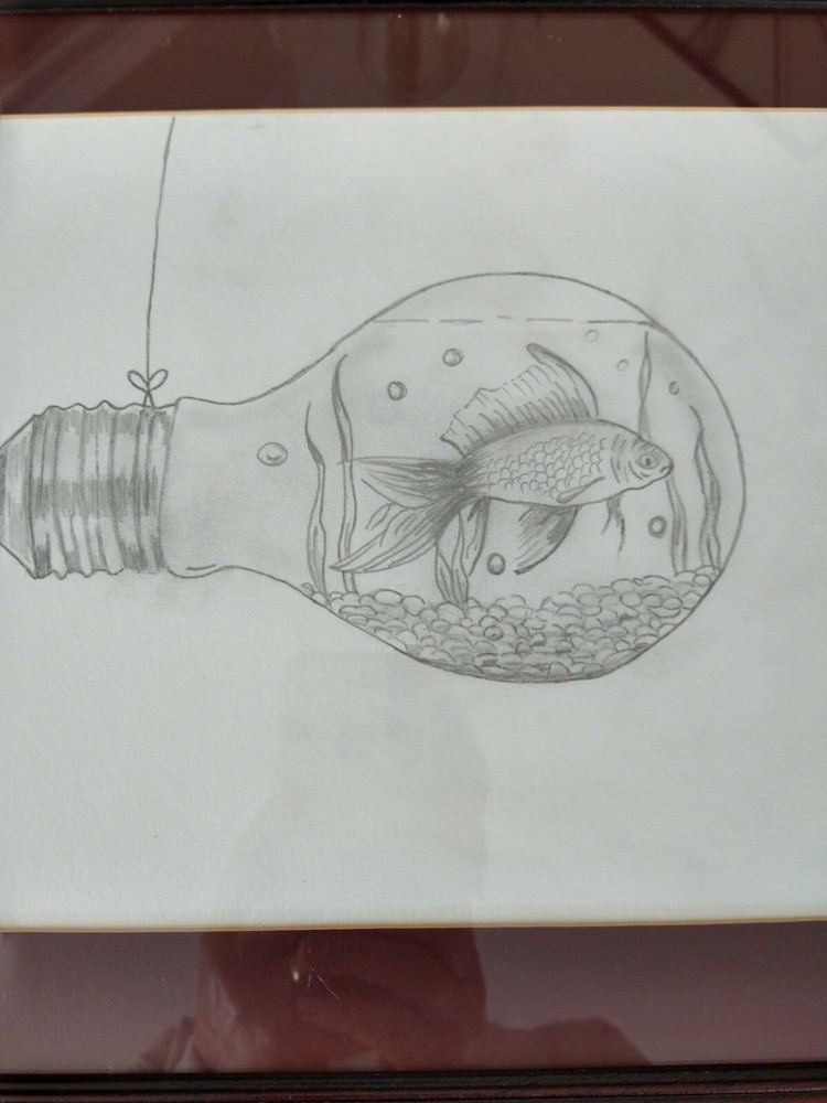 Framed Pencil Sketch Goldfish In A Lightbulb
