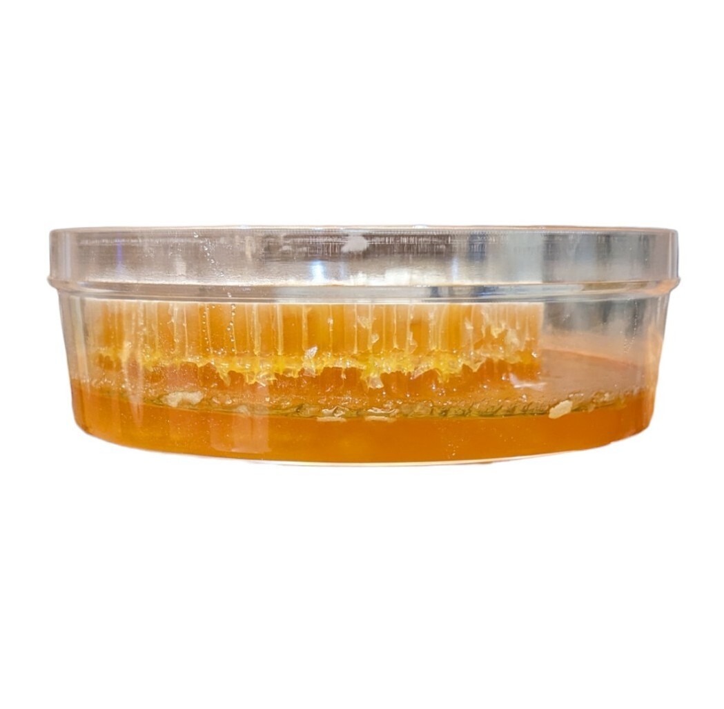 HONEYCOMB HONEY 17.6oz 500g 100% PURE UNFILTERED HONEY COMB DELICIOUS