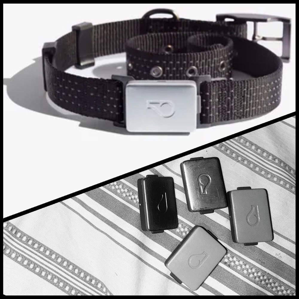 Whistle Switch Smart Collar Kit GPS Waterproof GPS Pet Tracker 4 Batteries