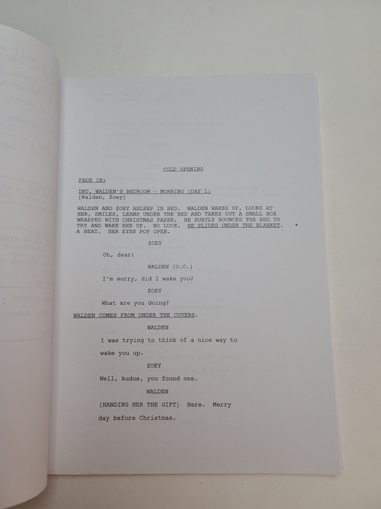 TWO AND A HALF MEN / Jim Patterson 2003 TV Script "One False Move, Zimbabwe!"