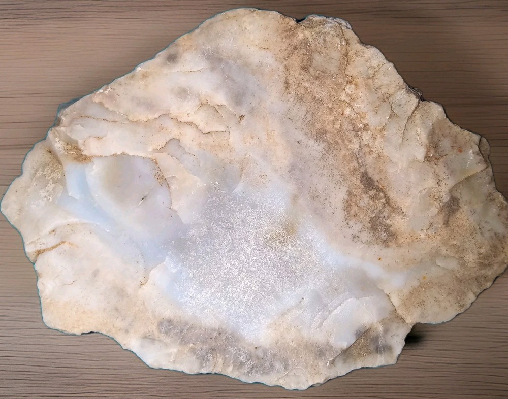 Petrified Wood Rough w Bark 220g