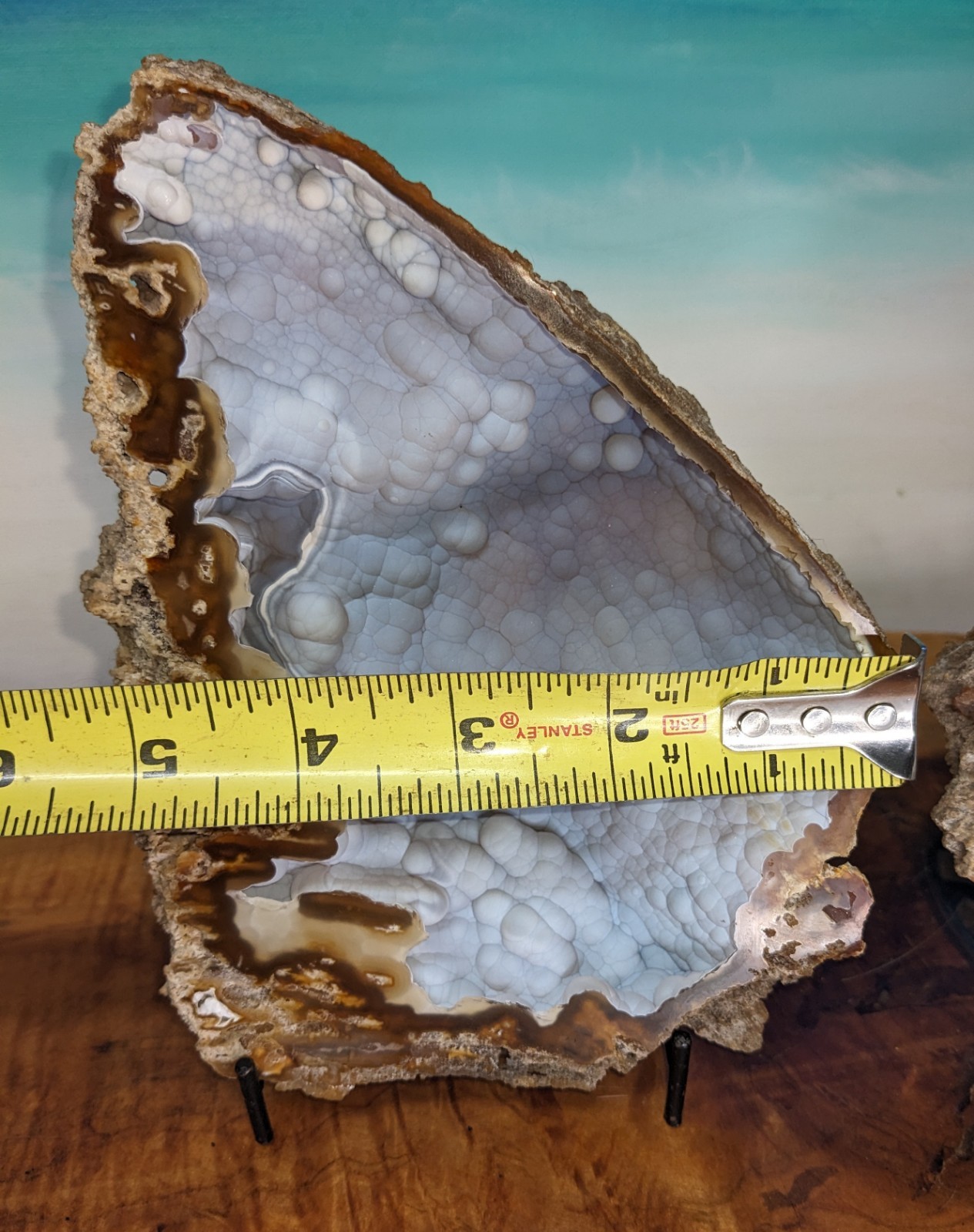 Agatized Coral Fossil Split Geode Botryoidal Blue/Violet Butterfly w/stands