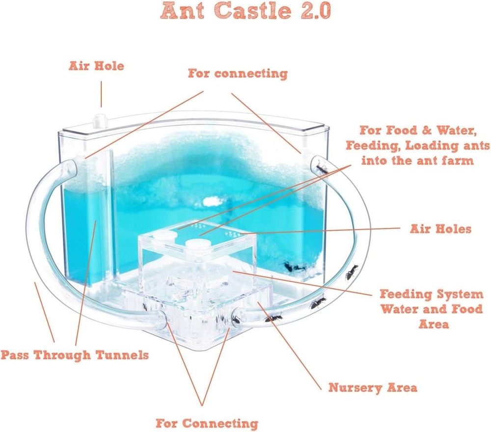 Ant Farm Castle 2.0 Science Kit - Explore Insect Behavior Safely