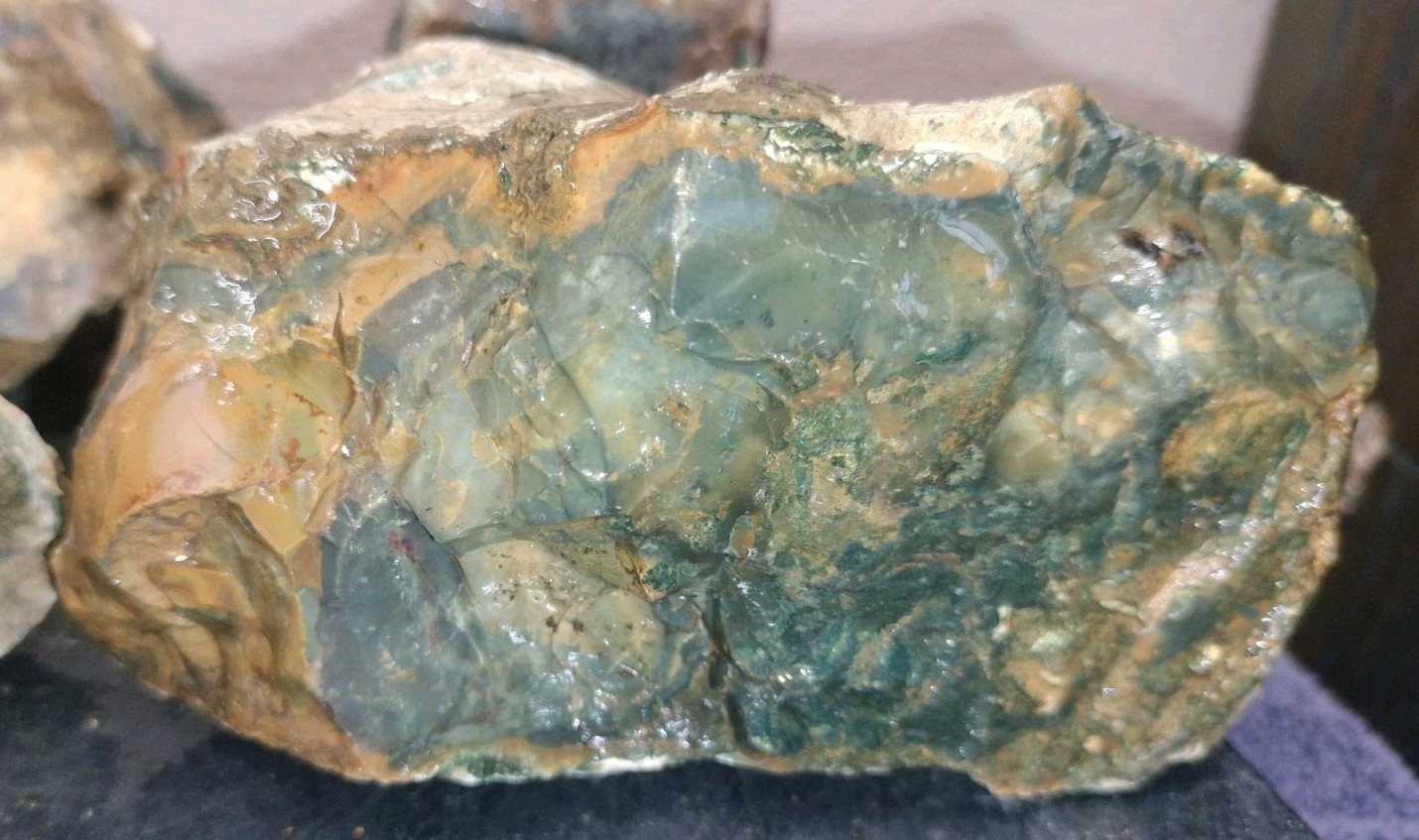 8.7LB ORBS Blue Mountain Picture Jasper Rough 6pc Lot #27