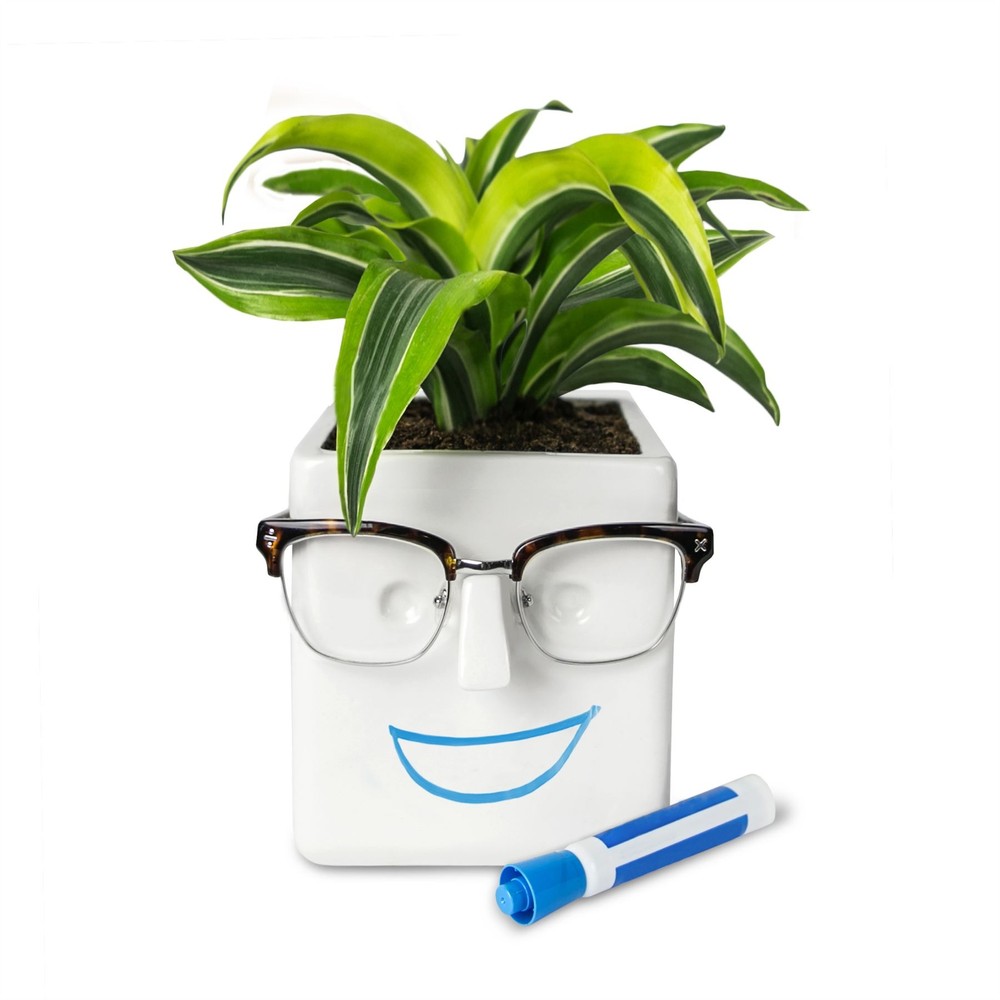 Ceramic Face Planter by 30 Watt Glasses Holder Customizable