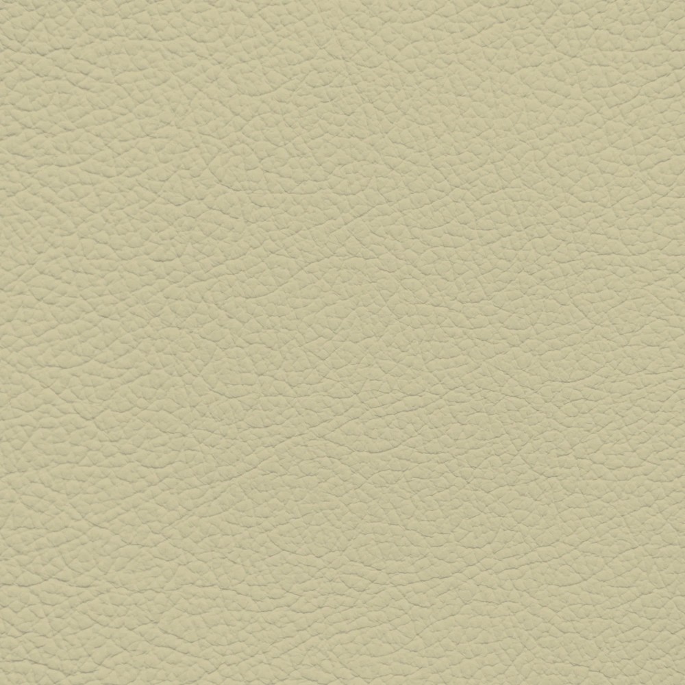 Audi Atlas Beige Leather Dye