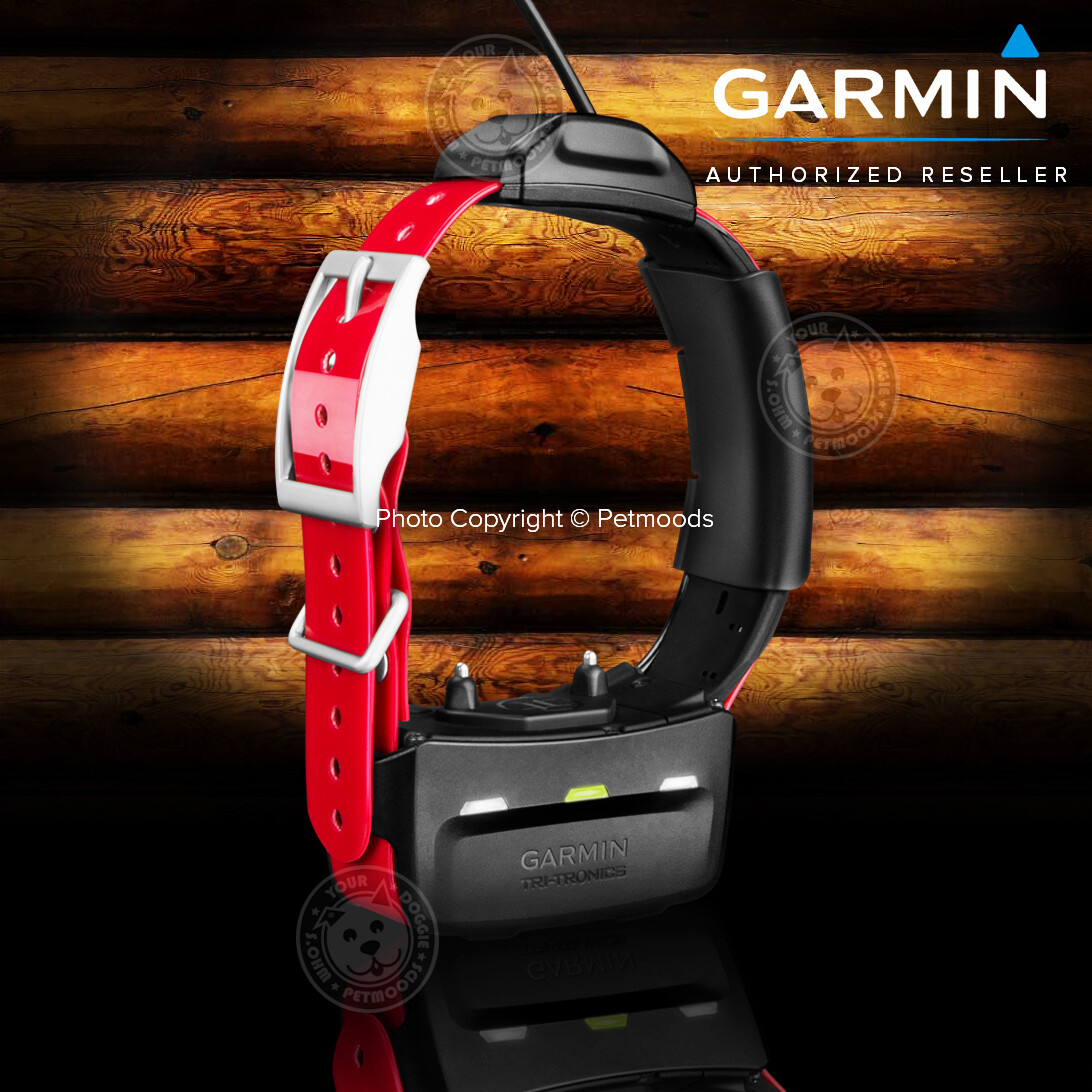 Garmin TT15X Dog Device GPS Tracking Training Collar 010-02755-80