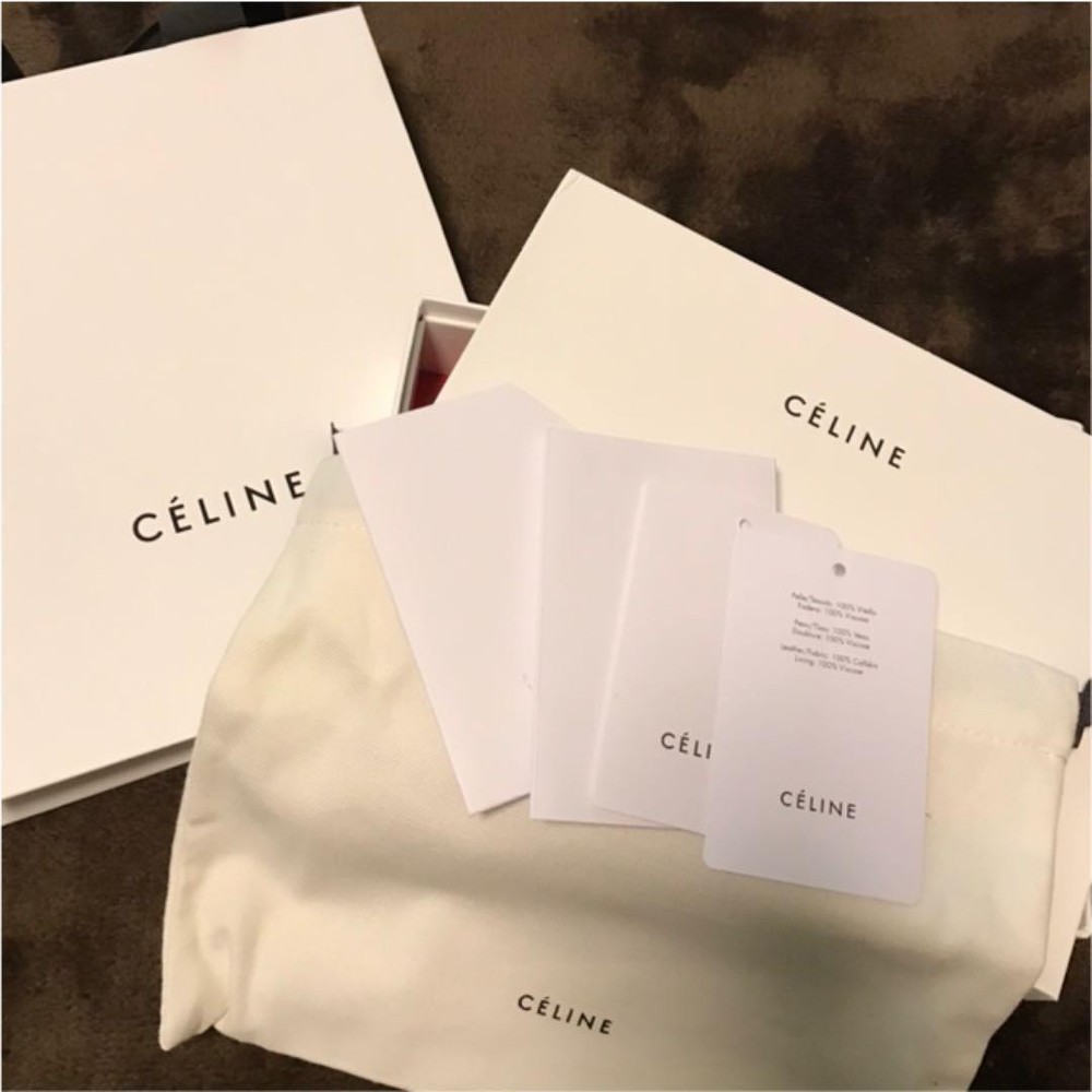 CELINE Large Flap Wallet From Japan