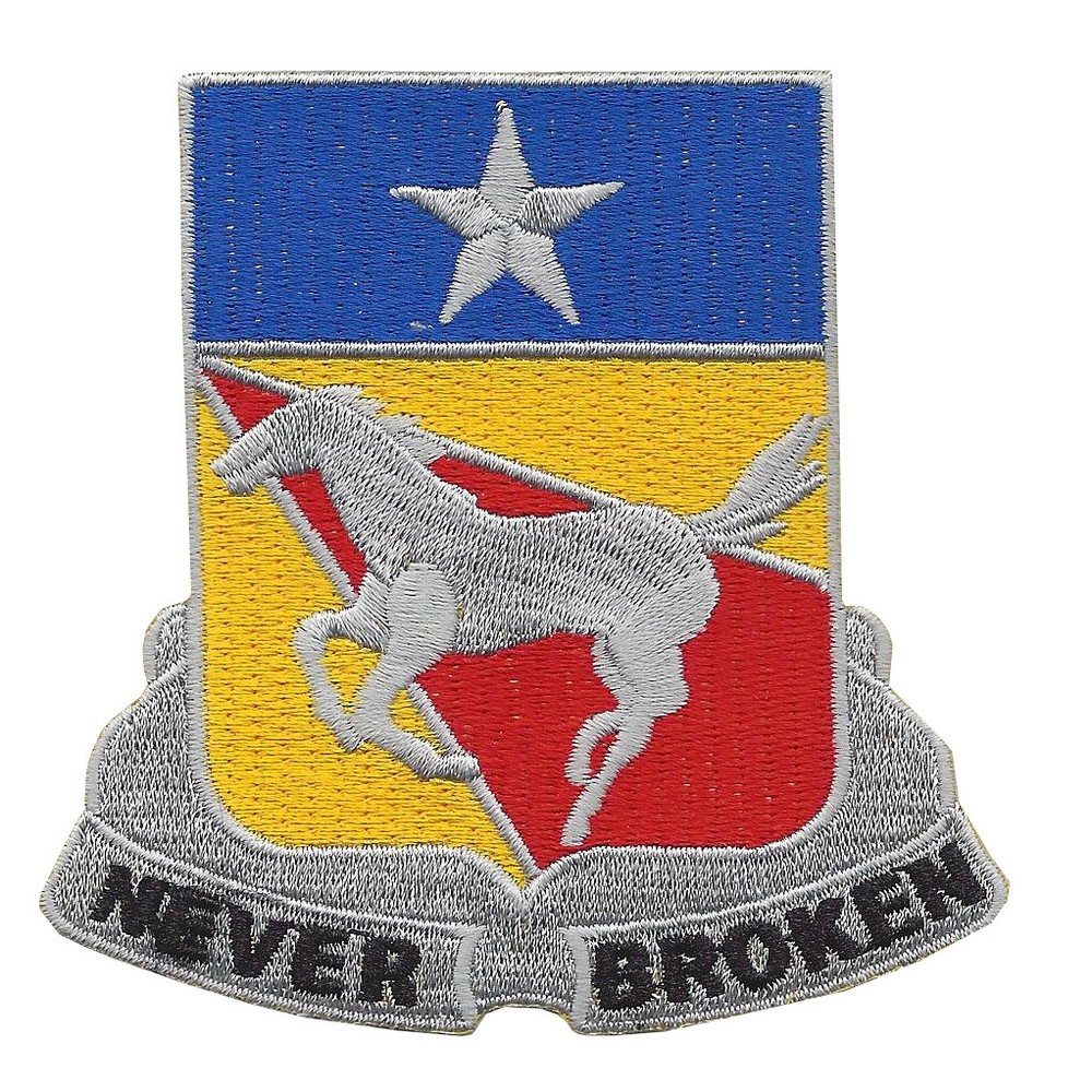 221st Cavalry Regiment Patch