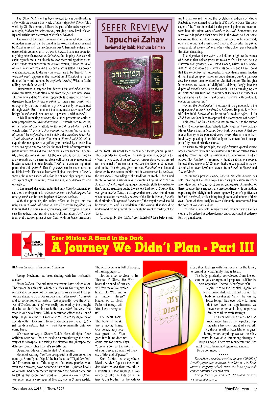 Sefer Tapuchei Zahav By Rabbi Gilbert Backenroth ספר תפוחי זהב על פרש"י על התורה