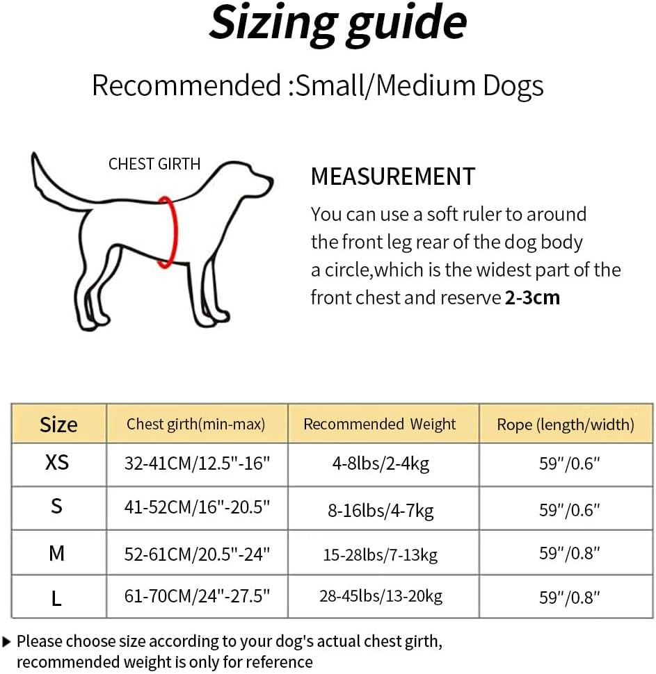 Dog Harness Set, No Pull Adjustable Step-in Collar for Dogs (M, Gray)