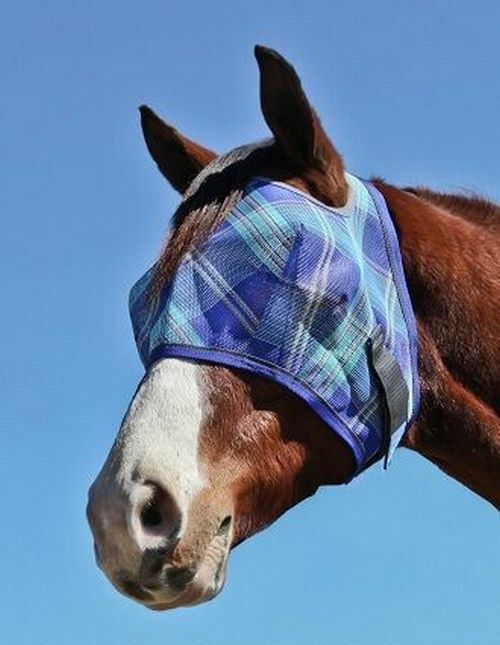 Kensington Fly Mask with Webbing Trim