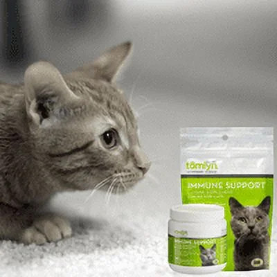 L Lysine Powder for Cats Immune Support