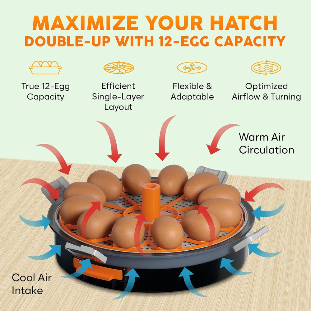 12 Egg Incubator with Automatic Egg Turning and Humidity Control – Temperature A