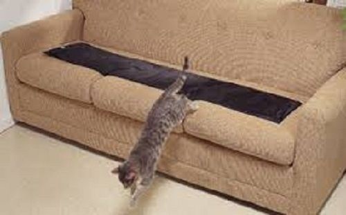 Sofa Scram Sonic Scat Pad