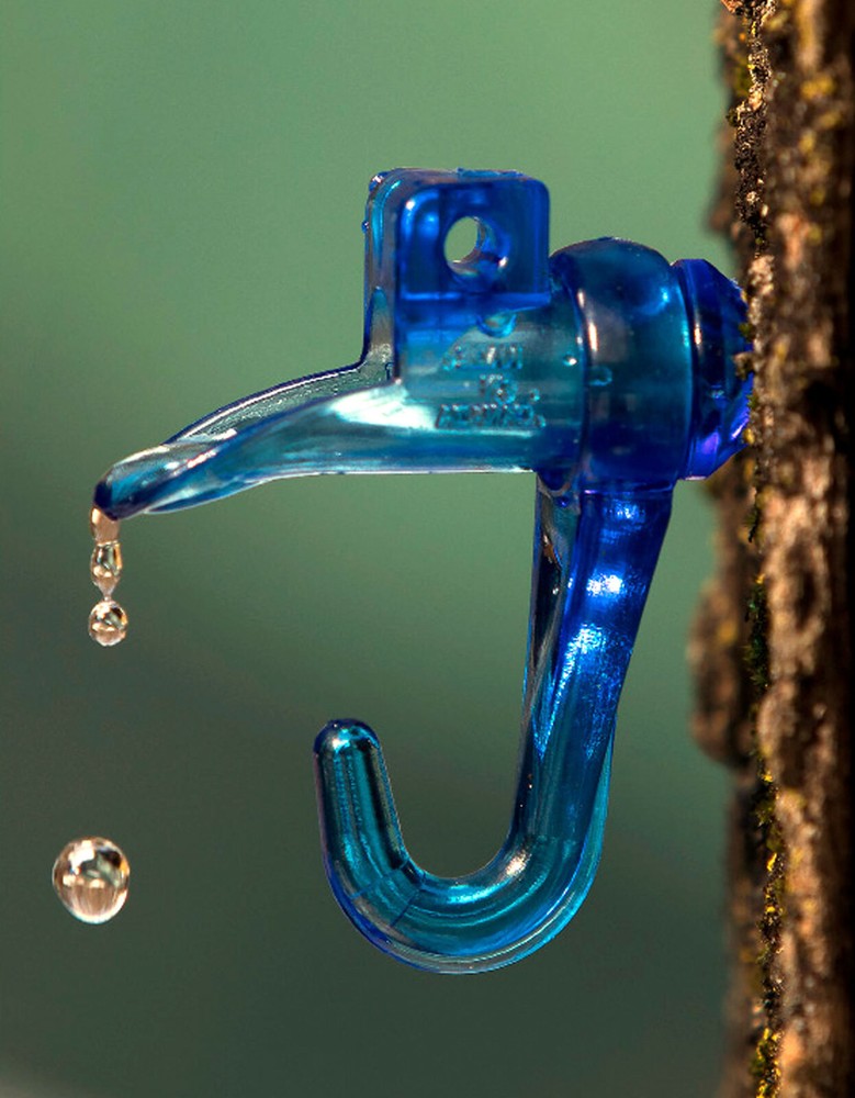 Blue Maple Syrup Taps - 5 Taps