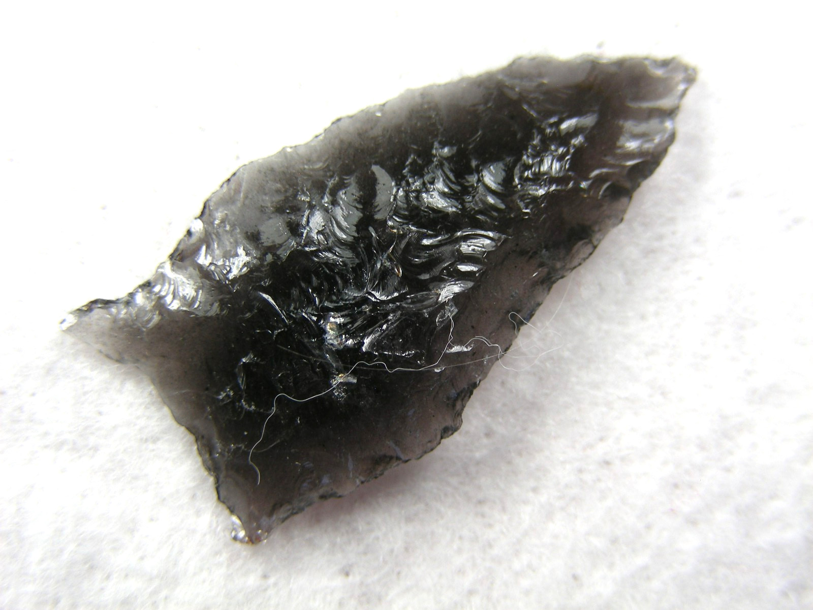 BUCHANAN EARED 1-1/4" NEVADA Authentic Indian Relics