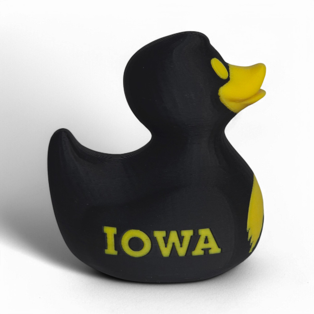 Iowa Hawkeyes Duck