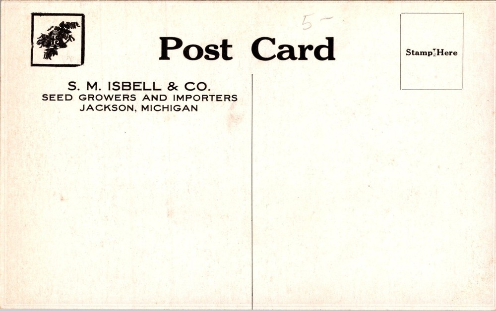 Jackson Michigan Postcard Isbell`s Oderbrucker Test Farm Beets Carrots Onions