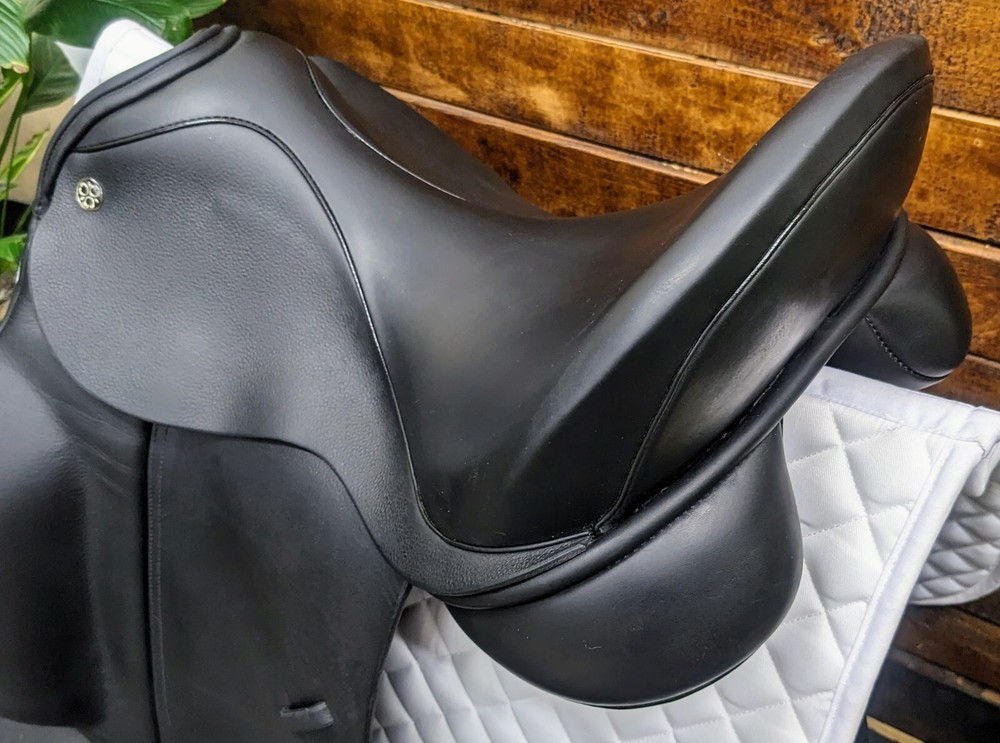 18" Trilogy Amadeo Elite (2022) *Wool Flocked*