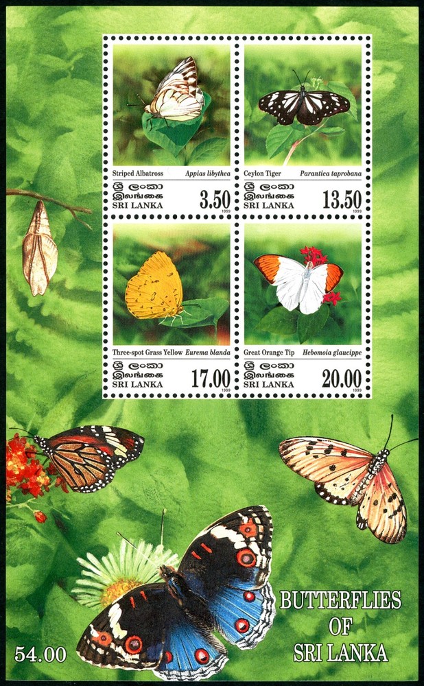 Sri Lanka Stamp Mini Sheet Butterflies AMNH 1999, Ceylon