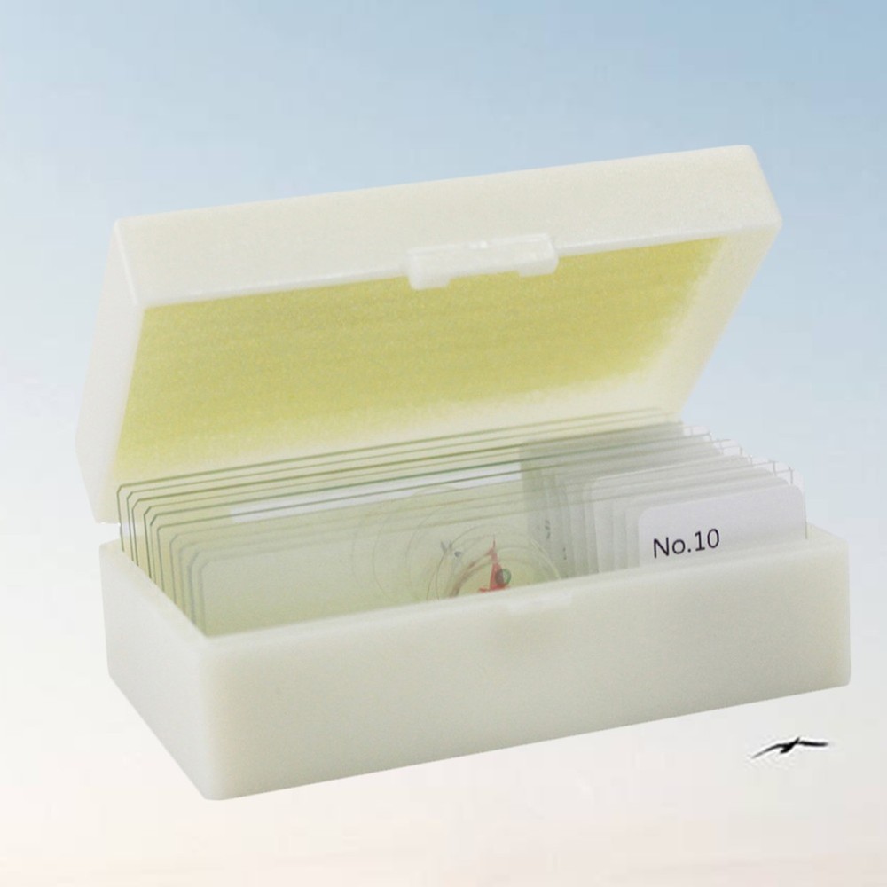 10 PCS/Set Glass Slides Microscope Preparation Kit Calibration Lab