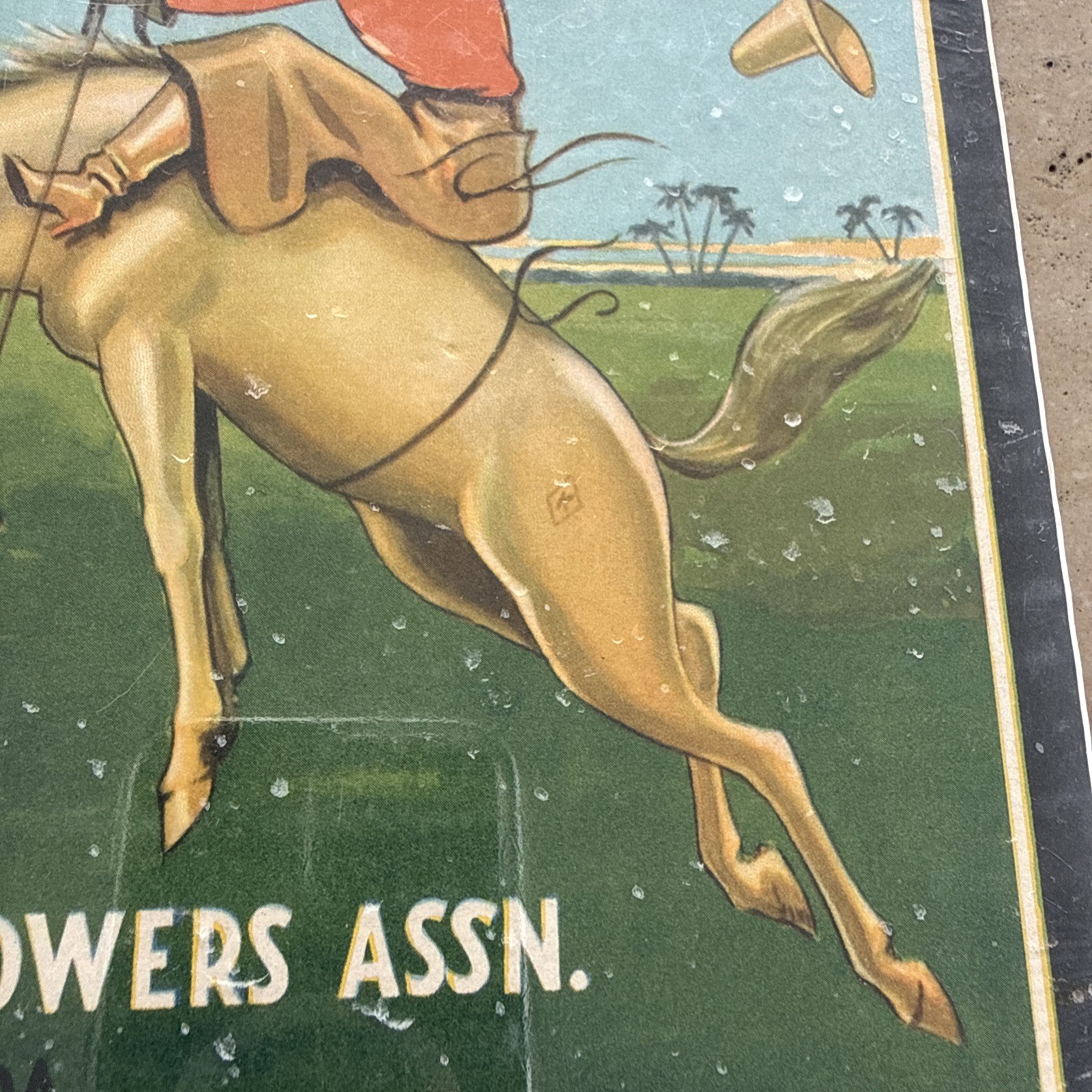 Original Vintage Florida Cowboy Citrus Crate Label Kissimmee Growers Horse Art