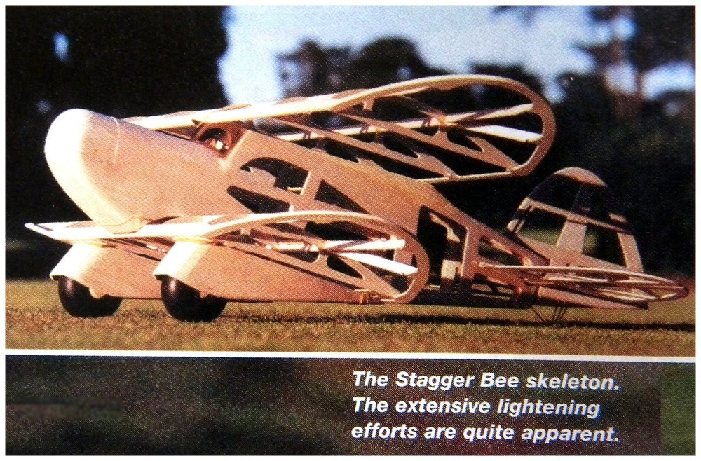 RC plans Full size Patterns + Building Instructions STAGGER BEE Span 29.5" & 25"