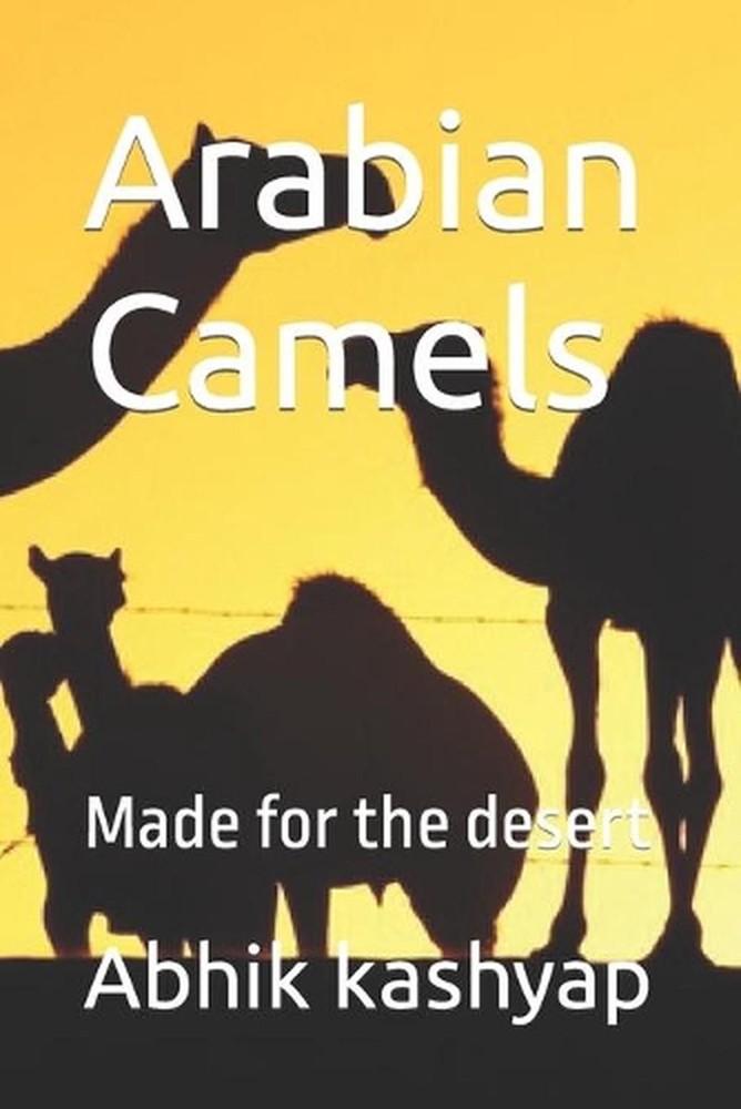 Arabian Camels