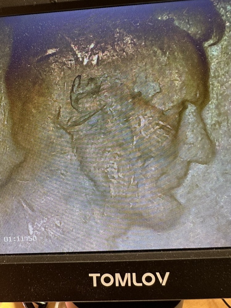 1969 D Penny Planchet Error Doubling In One Cent Error On Date Struck On Grease