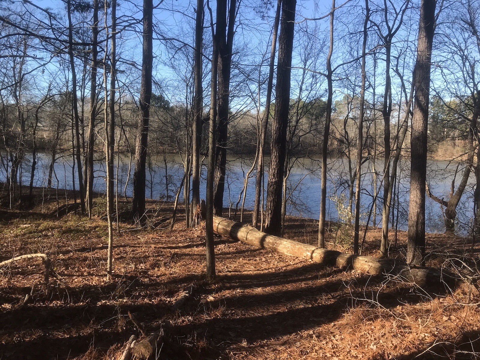 10 lbs Georgia ”FATWOOD FUEL” Kindling Firewood Lighter Ocote Chez JonesTHE BEST