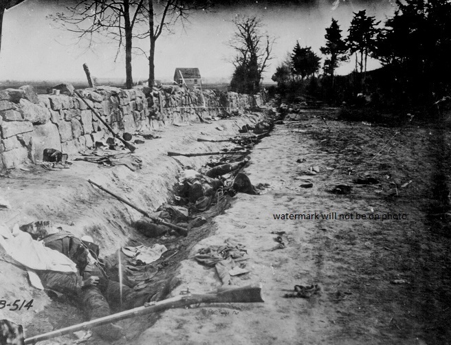 Dead Confederate Soldiers Battle of Fredericksburg 8"x 10" Civil War Photo 106