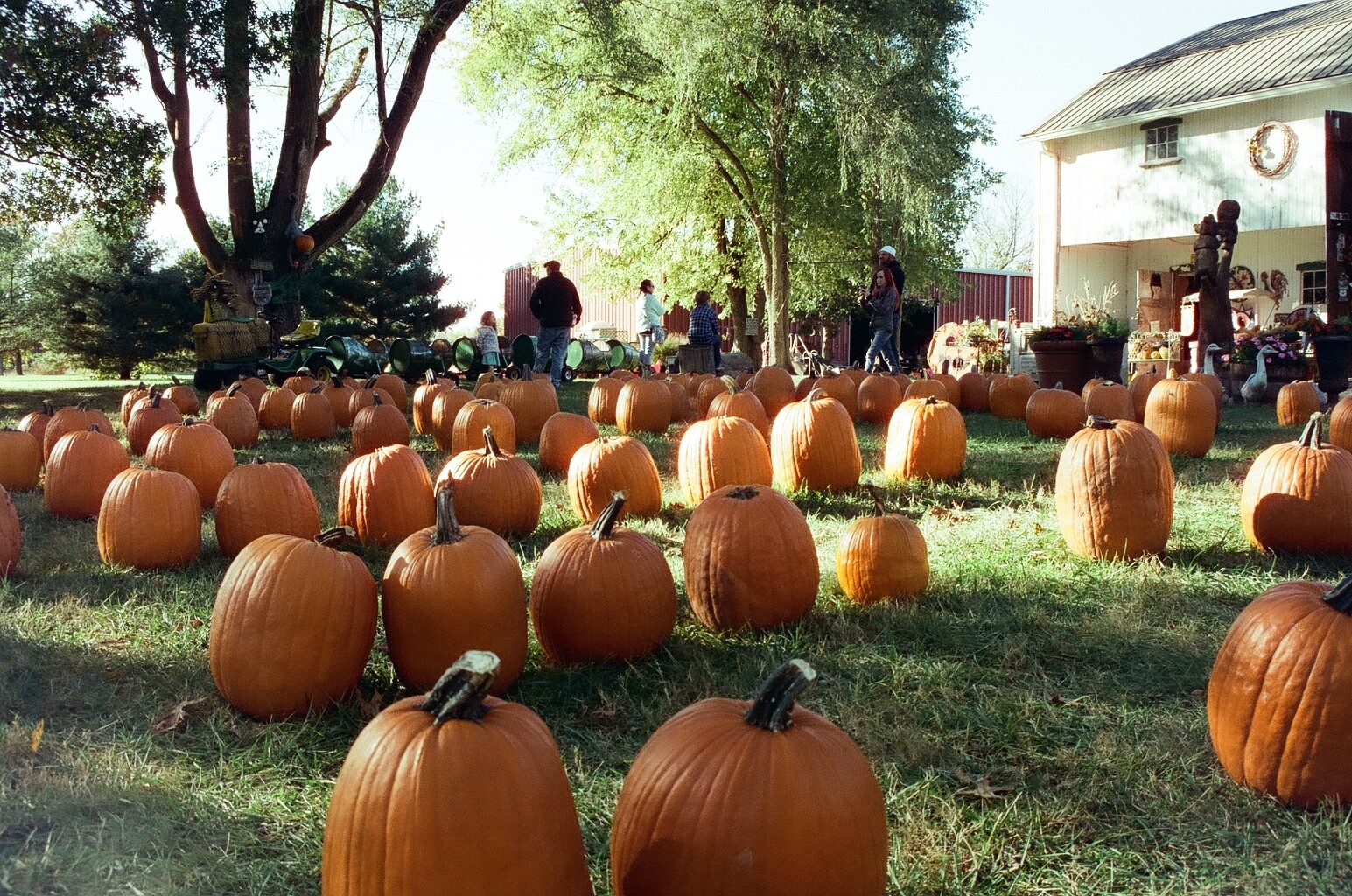 Cyberpunk 400D 36 exp C41 35mm Color Negative Film NO REMJET Kodak Vision3 250D