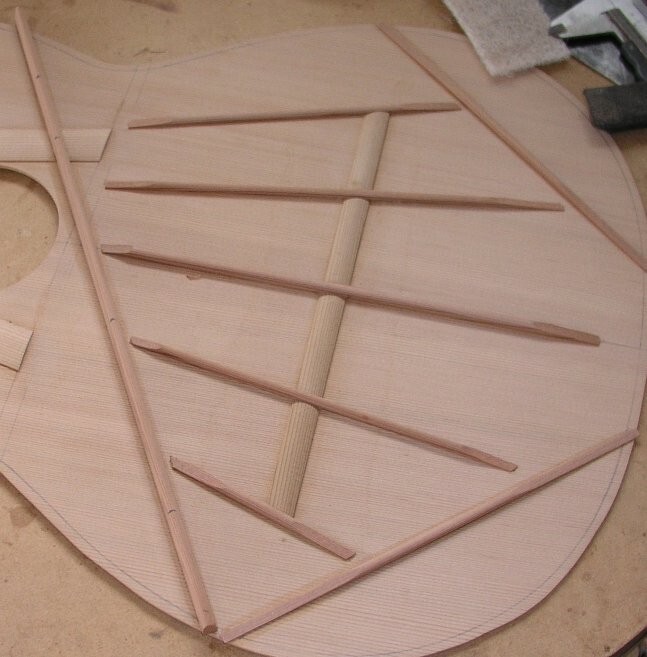 Make Your Own Rodriguez Guitar-Online Apprentice Guitar Making Course CDROM