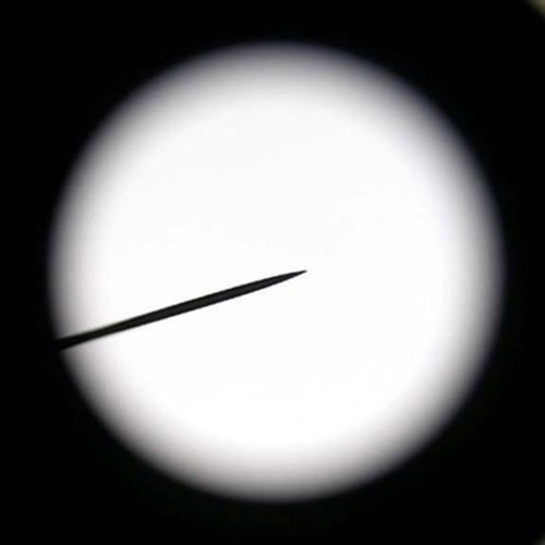 WF10X Microscope Eyepiece with Pointer (23mm)