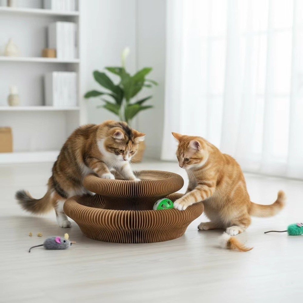 Kitty Kurlz Cat Toy Kitten Curl Magic Interactive Brown Scratching Board