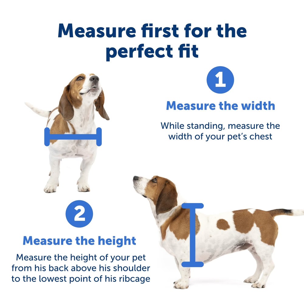 PetSafe NEVER RUST Dog Door, Paintable, Easy DIY Installation