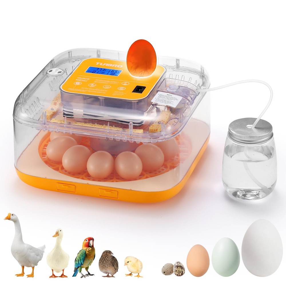 12 Egg Incubator with Automatic Egg Turning, Incubator for Hatching Eggs with...